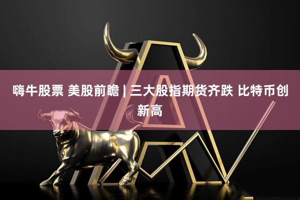 嗨牛股票 美股前瞻 | 三大股指期货齐跌 比特币创新高