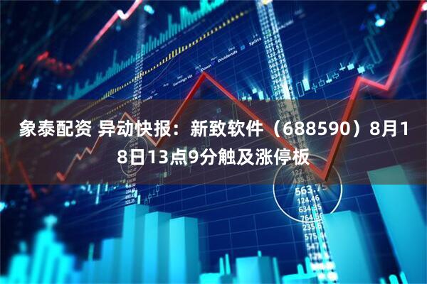 象泰配资 异动快报：新致软件（688590）8月18日13点9分触及涨停板