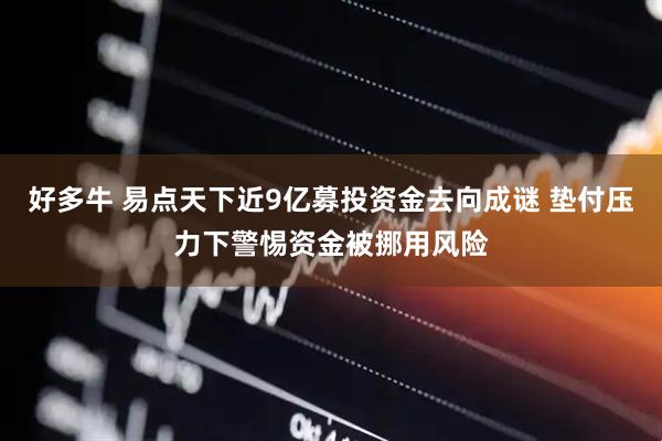 好多牛 易点天下近9亿募投资金去向成谜 垫付压力下警惕资金被挪用风险