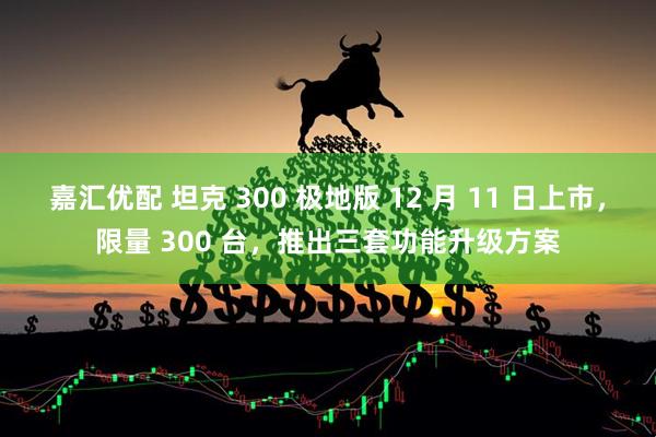 嘉汇优配 坦克 300 极地版 12 月 11 日上市,限量 300 台,推出三套功能升级方案