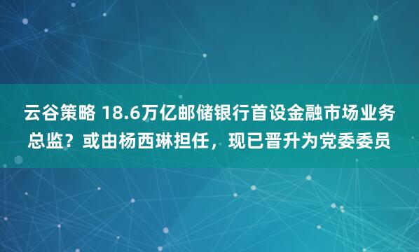 云谷策略 18.6万亿邮储银行首设金融市场业务总监?或由杨西琳担任,现已晋升为党委委员