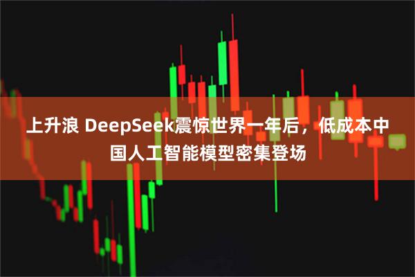 上升浪 DeepSeek震惊世界一年后，低成本中国人工智能模型密集登场