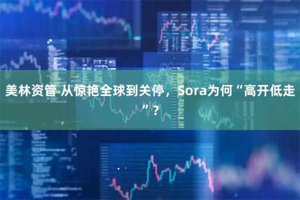 美林资管 从惊艳全球到关停，Sora为何“高开低走”？